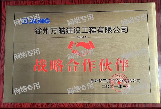 战略合作伙伴奖